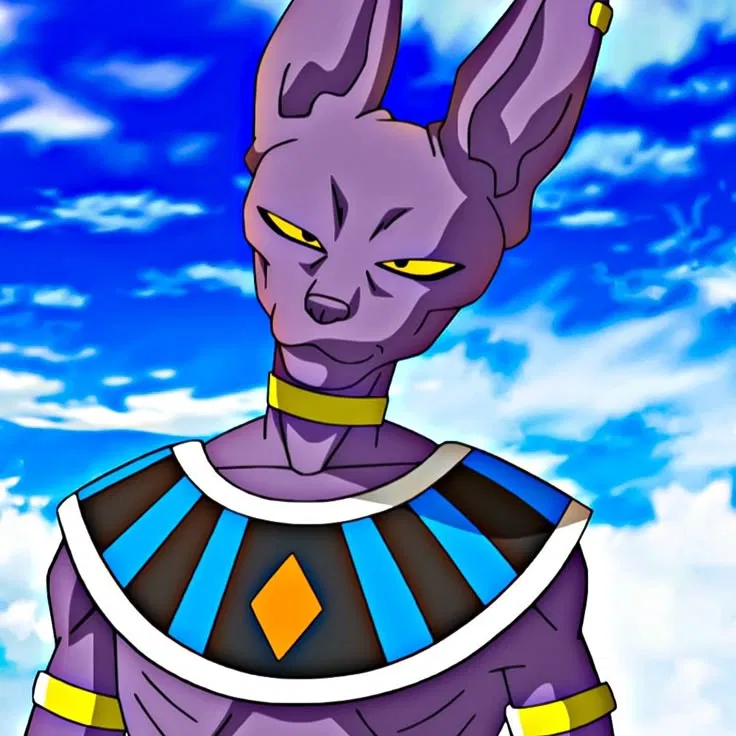Avatar of Beerus | Godly Challenger
