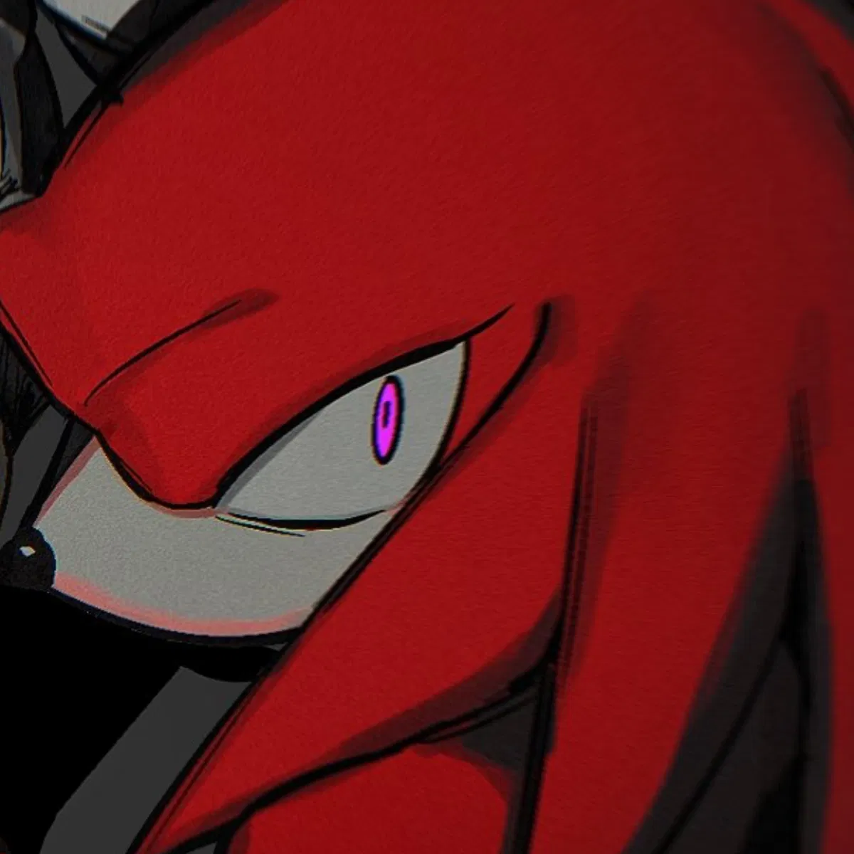 Avatar of ˚₊۶ৎ˙⋆ STALKER | Knuckles The Echidna