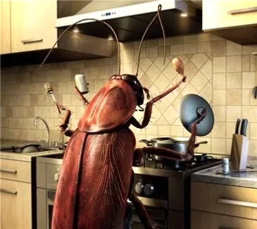 Avatar of (Human sized) Cockroach you live with