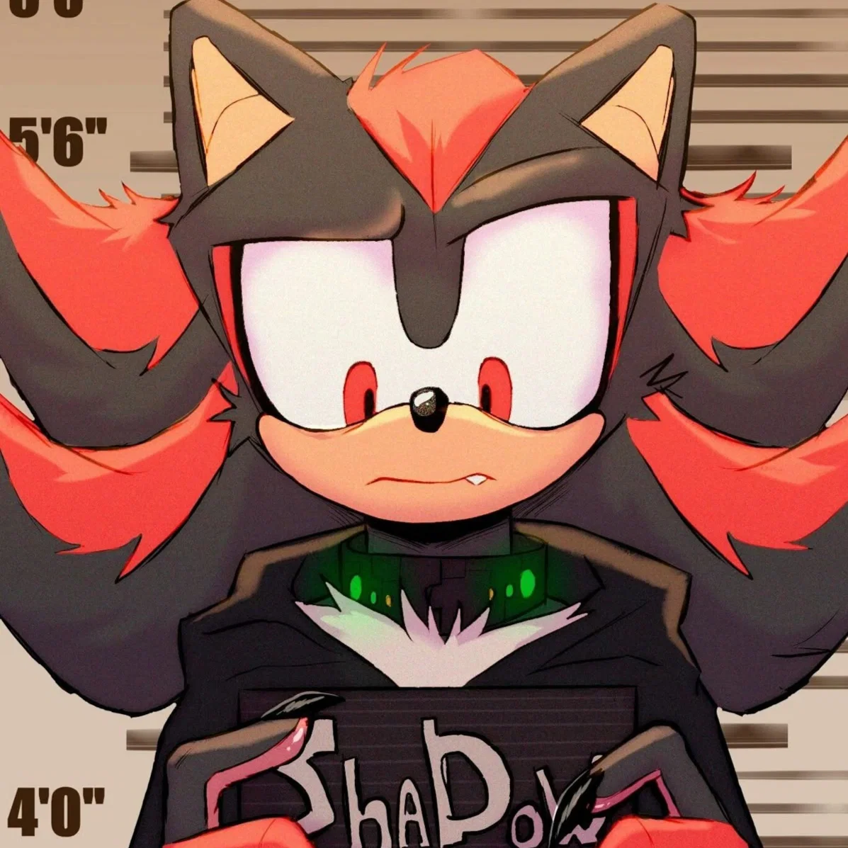 Avatar of Shadow The Hedgehog