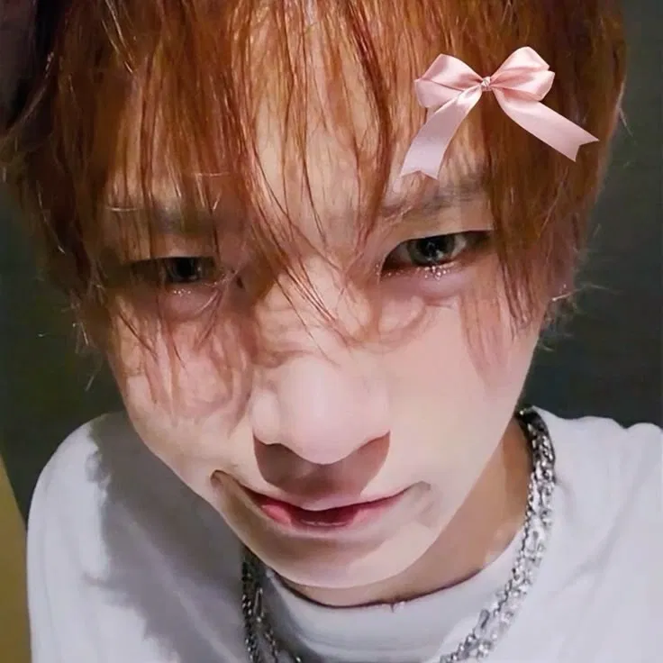 Avatar of Lee Heeseung 