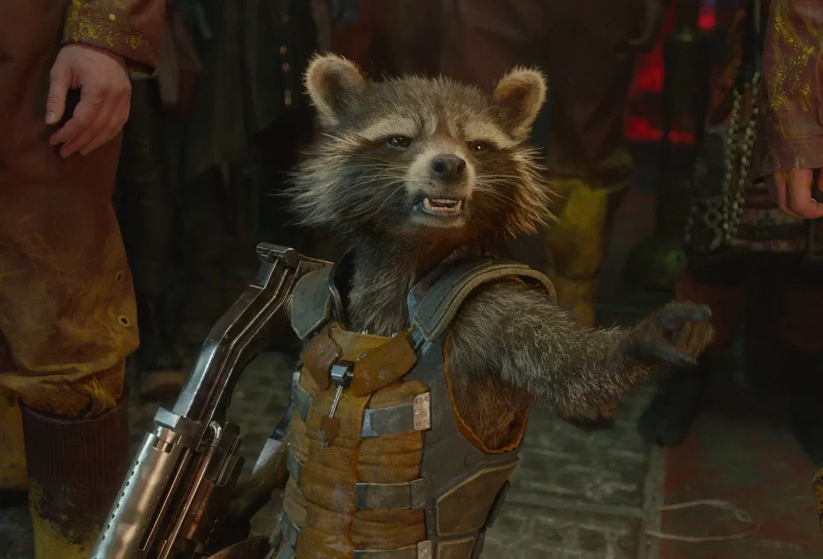 Avatar of Rocket Raccoon - Confronting The Past
