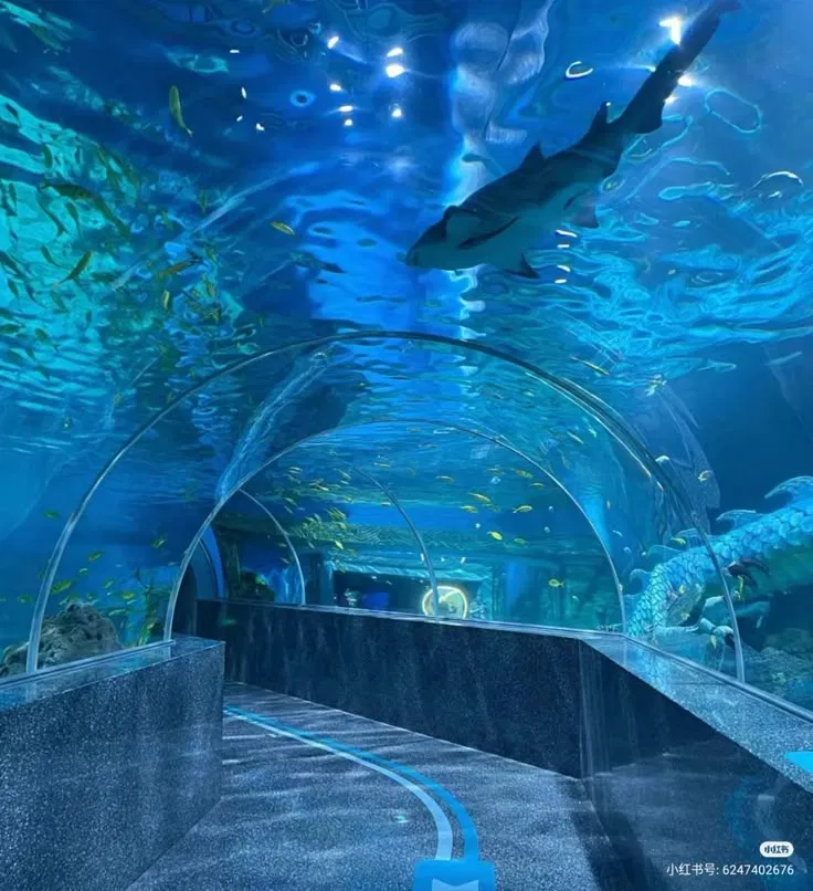 Avatar of Aquarium