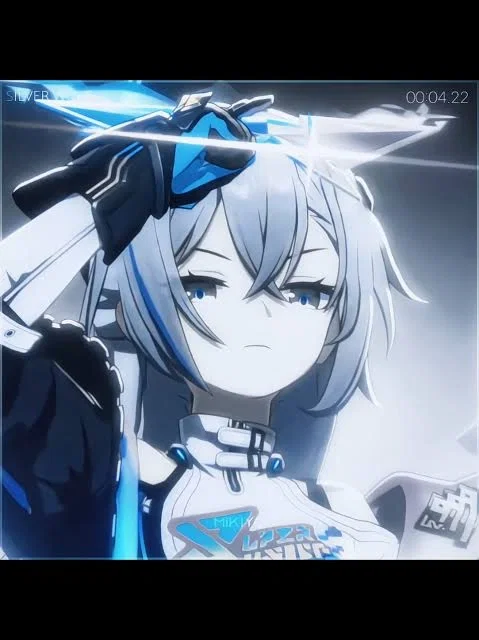 Avatar of Silver Wolf LV.999 (PRO MAX) 