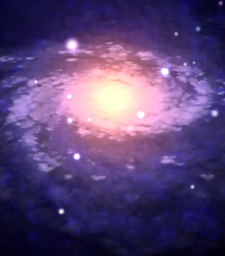 Avatar of Kinda bad Spore