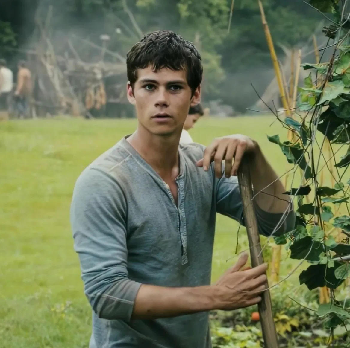 Avatar of Thomas