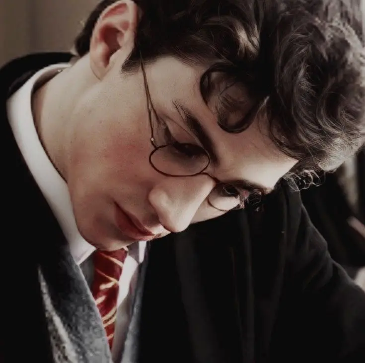 Avatar of James Potter