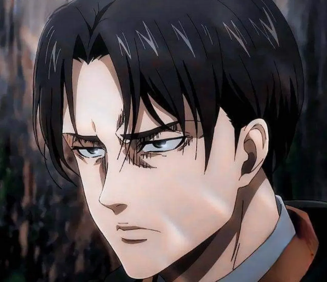 Avatar of •Levi Ackerman•