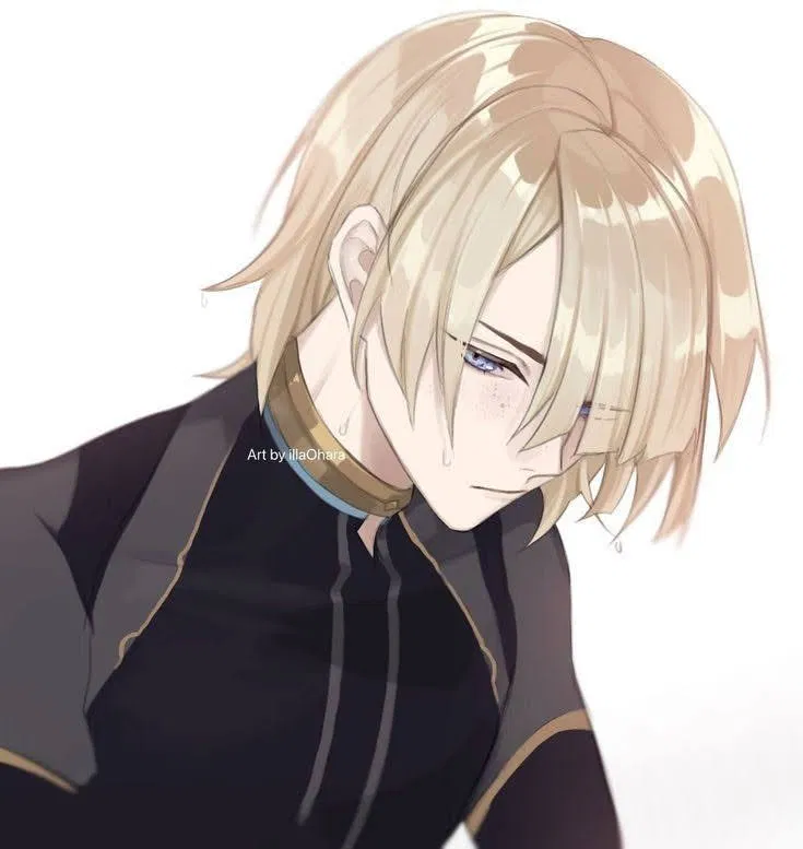 Avatar of Freminet | diver boyfriend