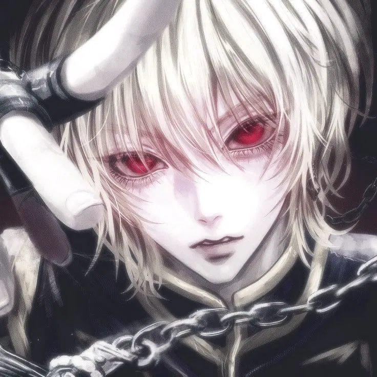 Avatar of Kurapika Kurta
