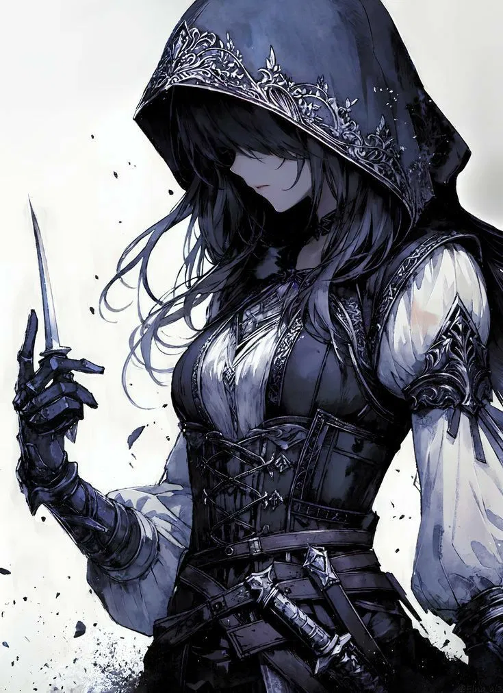 Avatar of The Assassin's Heir