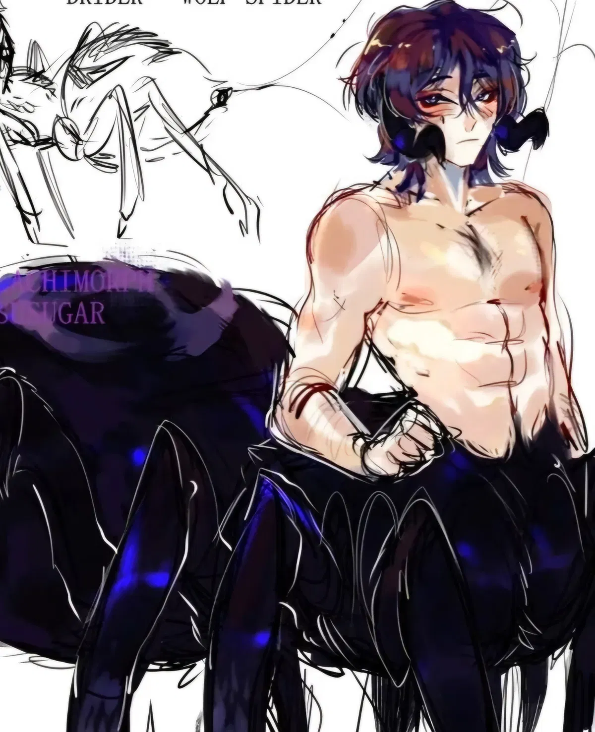 Avatar of 「  蜘蛛🕷スカラマシュ 」