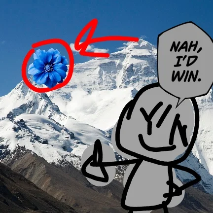 Avatar of You go on a mountain for a flower that will be used to save your sick stepsister in a world of fantasy! 