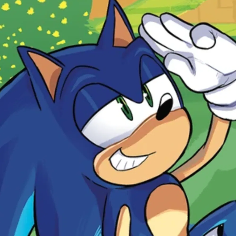 Avatar of  ̊+۶ৎ ̇⋆ Sonic The Hedgehog