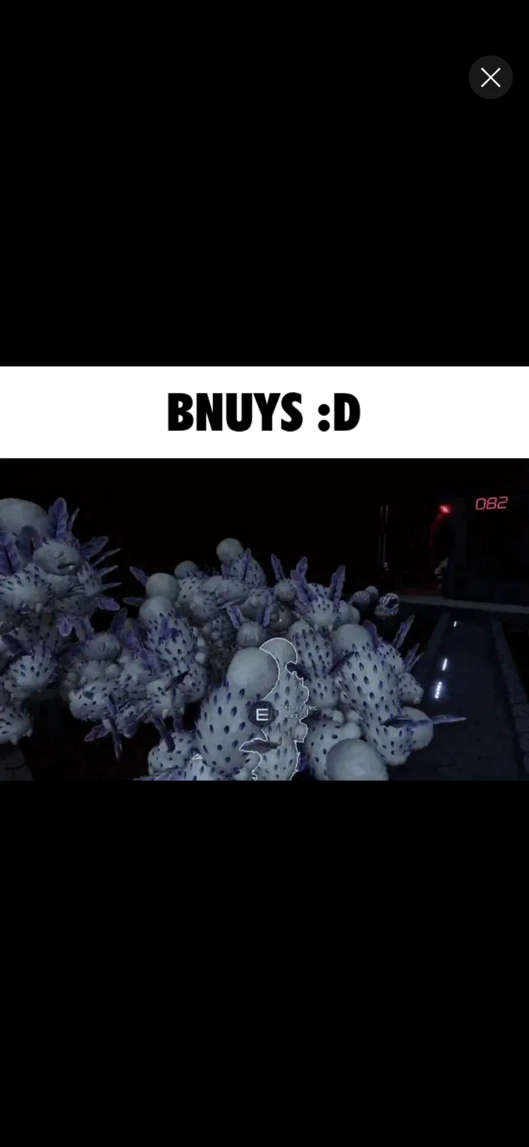 Avatar of BNUYS :]