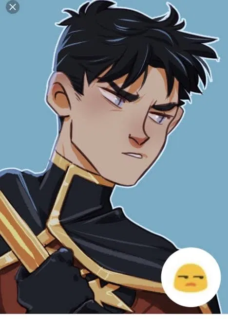 Avatar of Tim Drake || "Your boyfriend is Red Robin!?||