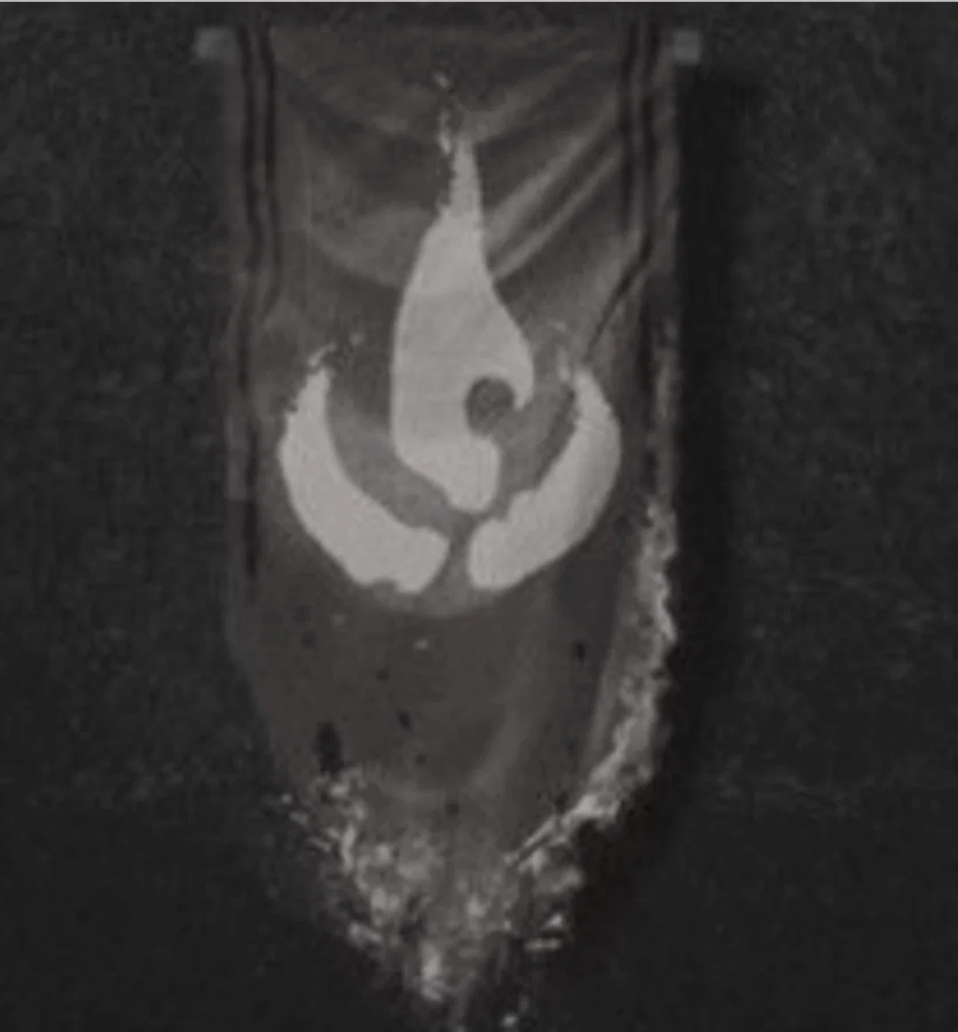 Avatar of ZUKO