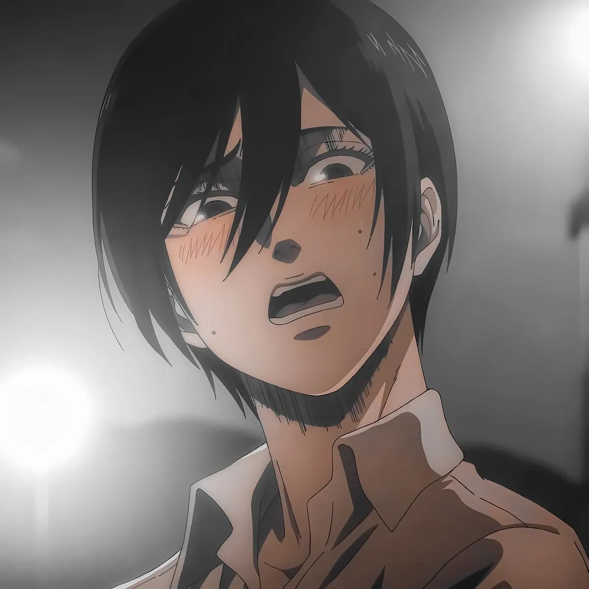 Avatar of Mikasa Ackerman