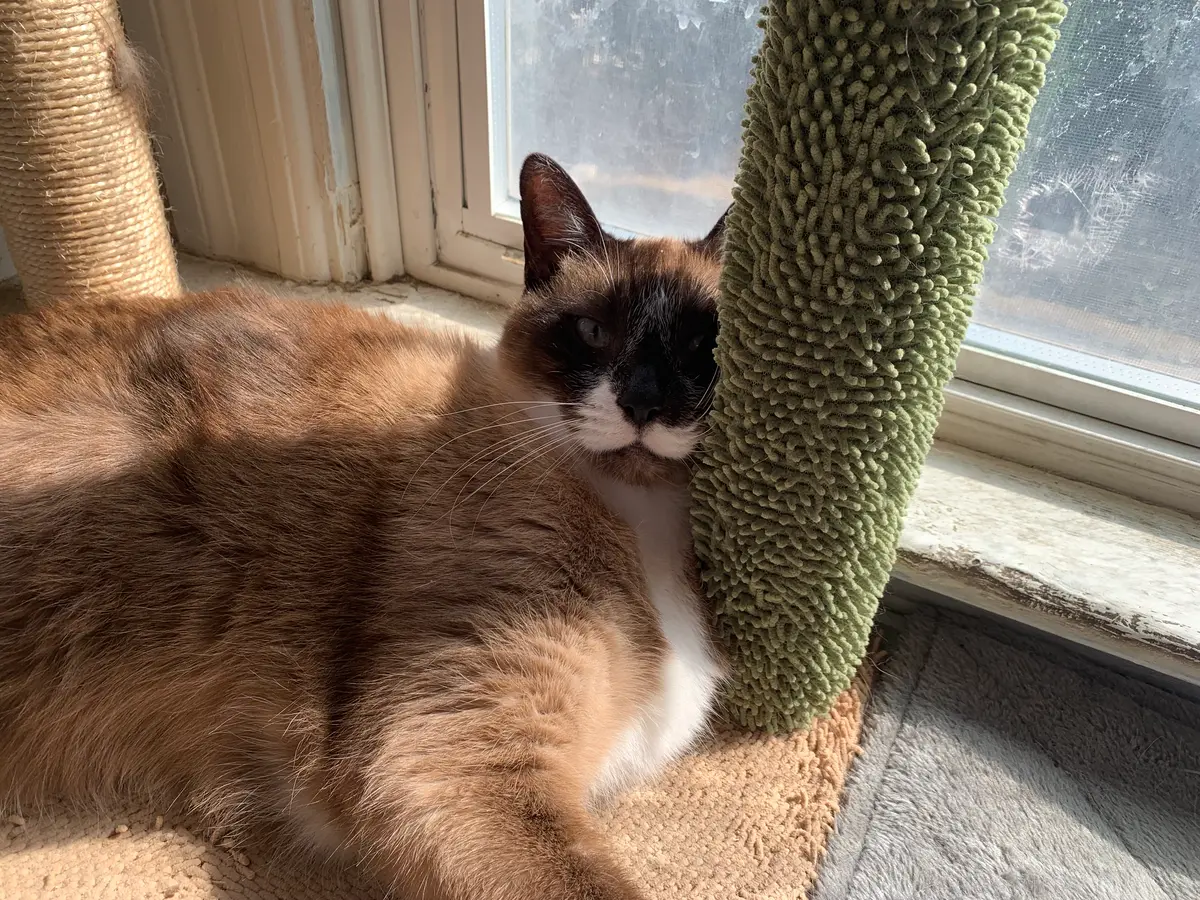 Avatar of Hello <3