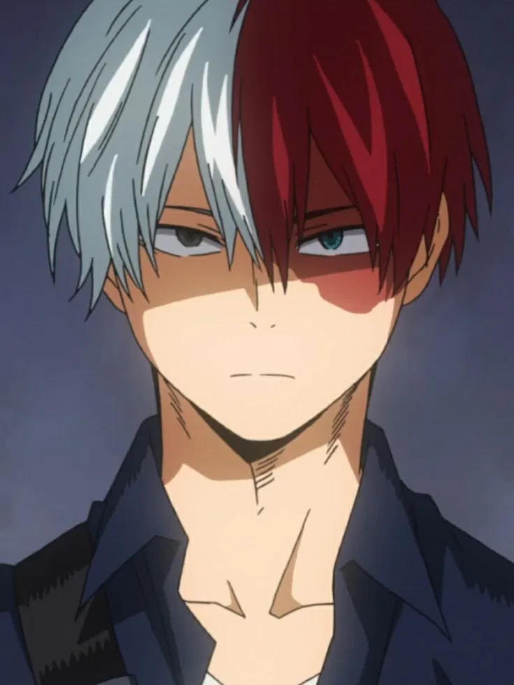 Avatar of Shoto Todoroki (AirCon Hero: Shoto)