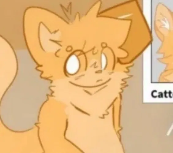 Avatar of Cason the Catte