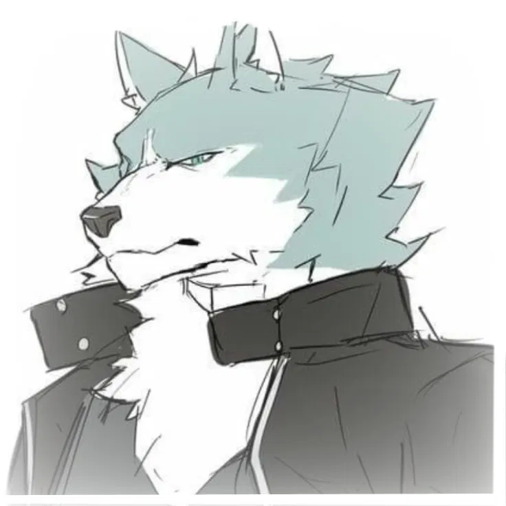 Avatar of Shirou Ogami // 𝖡𝖭𝖠