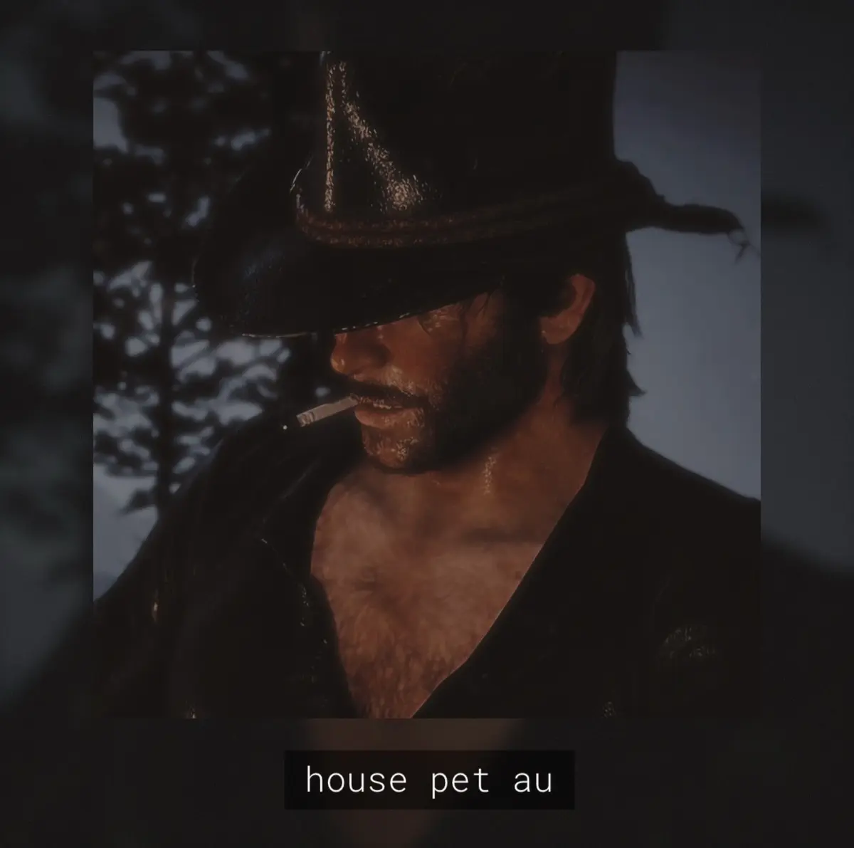 Avatar of house pet arthur .ᐟ