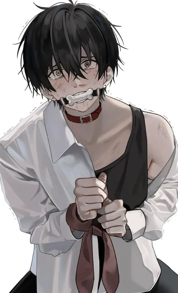 Avatar of Akira || Your "Pet"