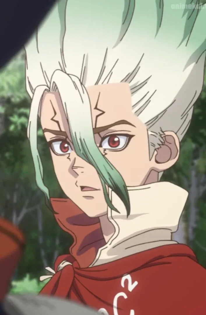 Avatar of Senk