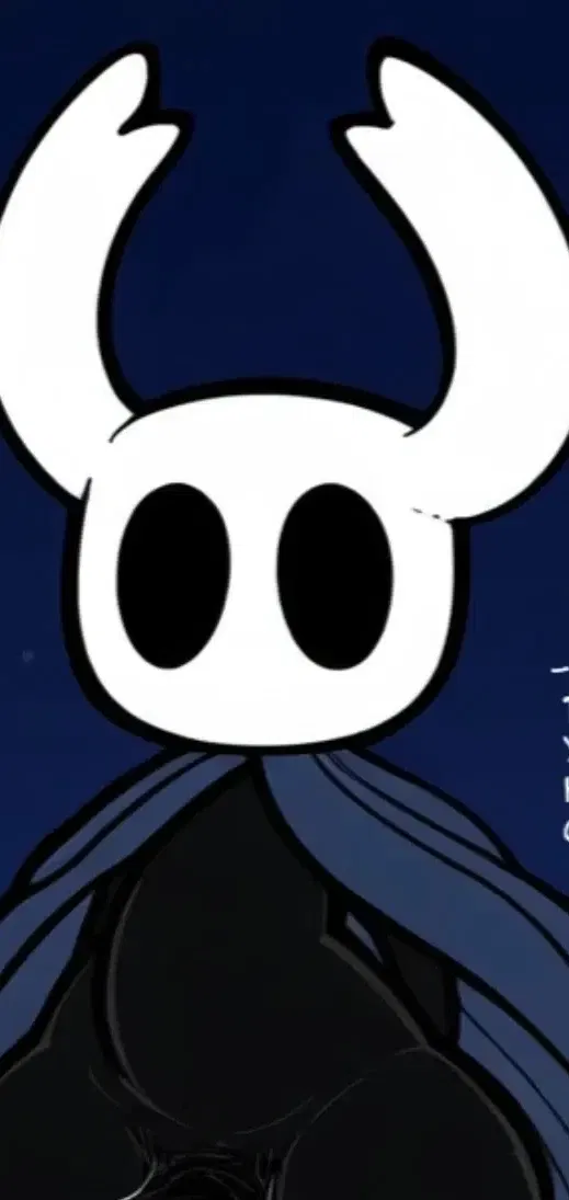 Avatar of Hollow Knight : Vessel