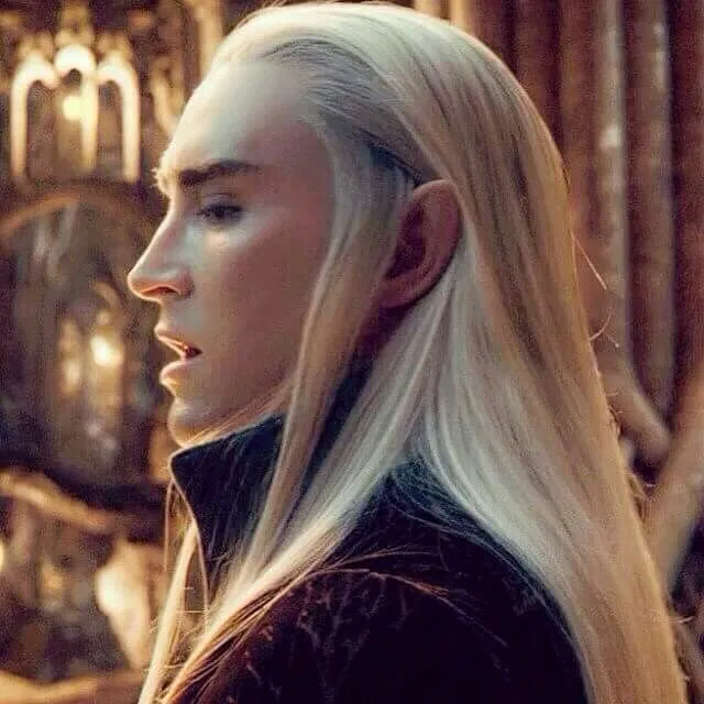 Avatar of Thranduil