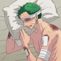 Avatar of Roronoa Zoro 