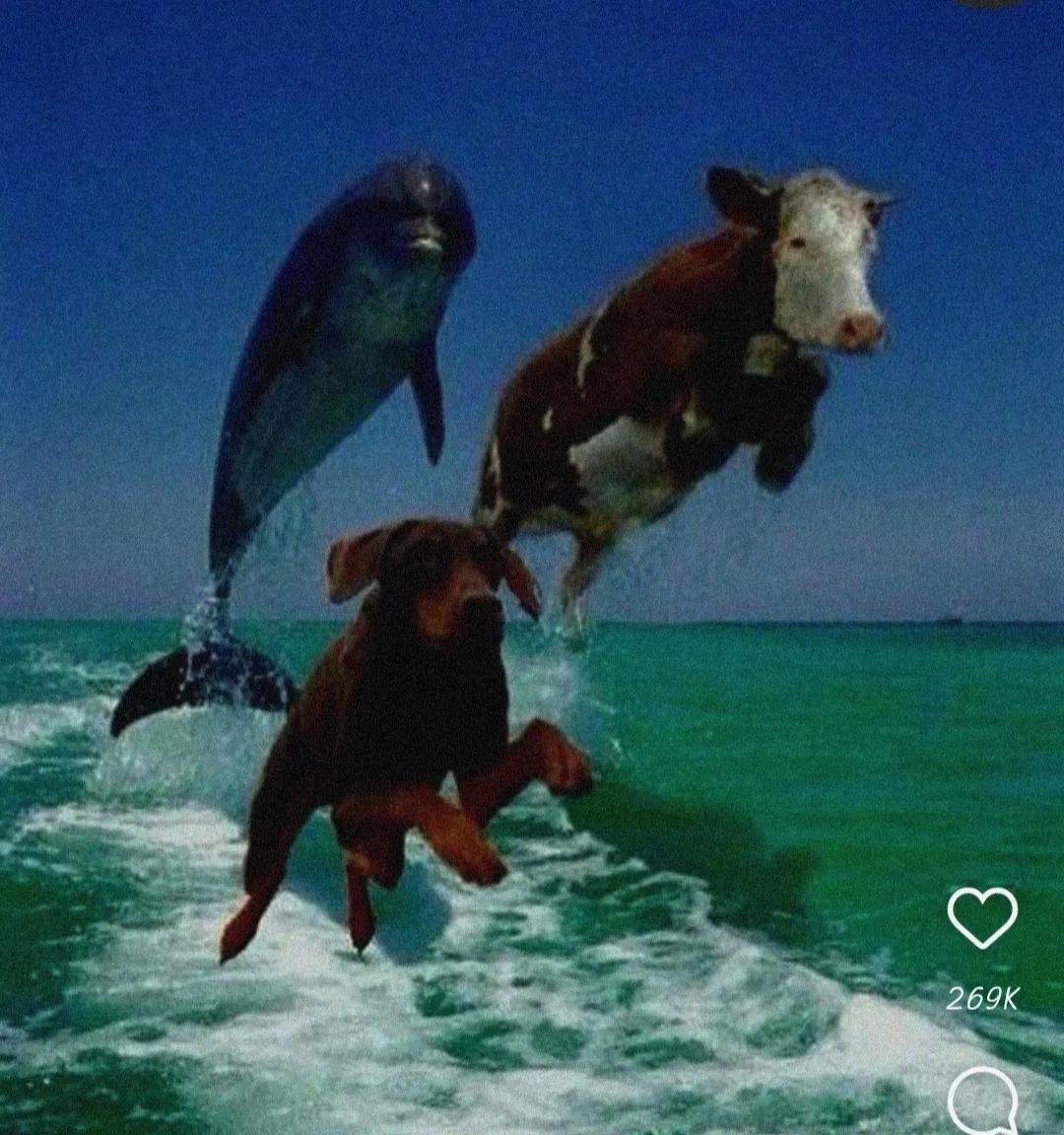 Avatar of I am very busy.