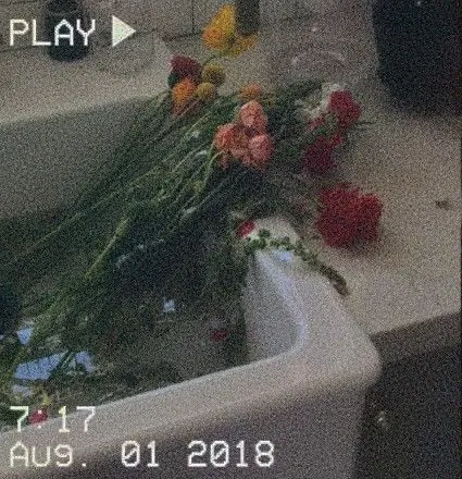 Avatar of ????????????????????????