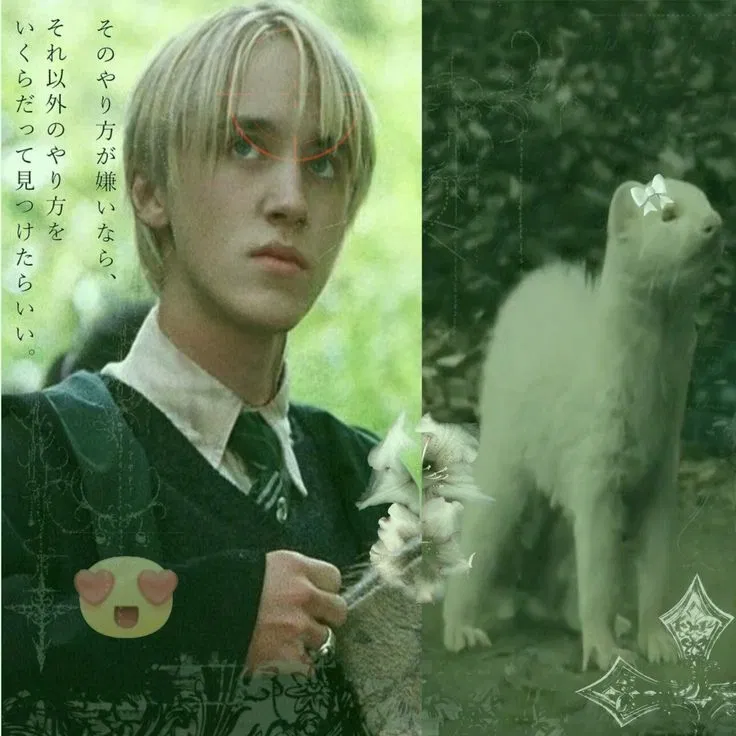Avatar of Draco Lucius Malfoy