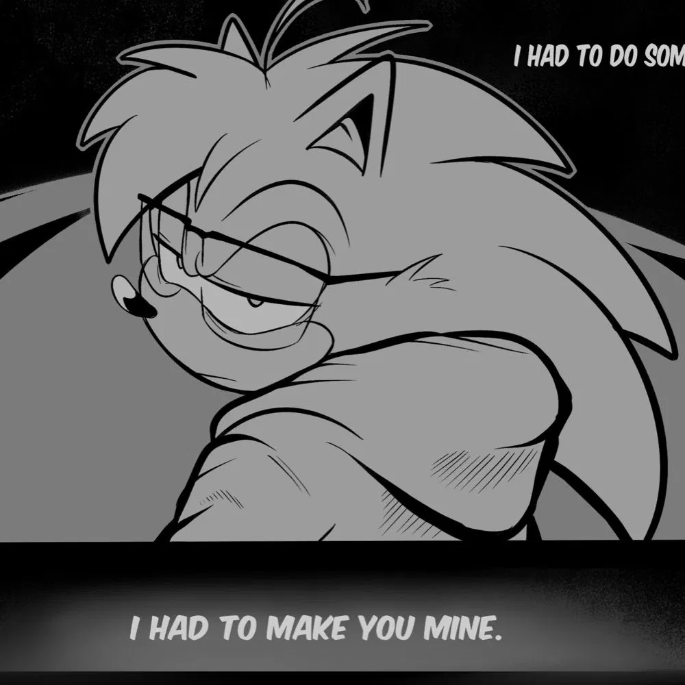 Avatar of Nicky The Hedgehog