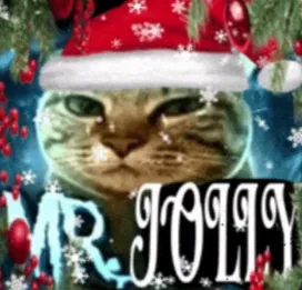 Avatar of 🎄Merry Christmas🎄