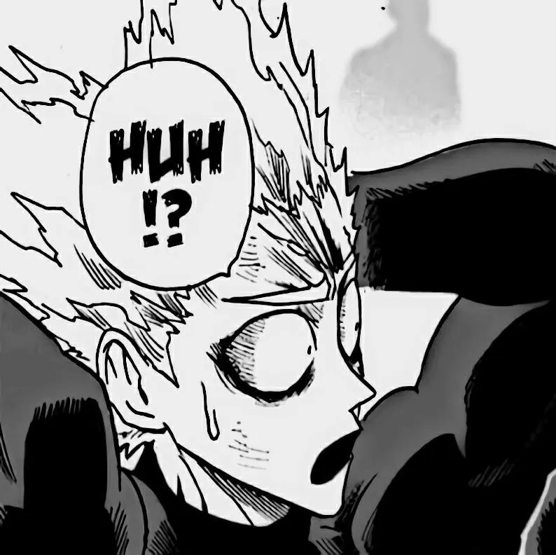 Avatar of Garou 