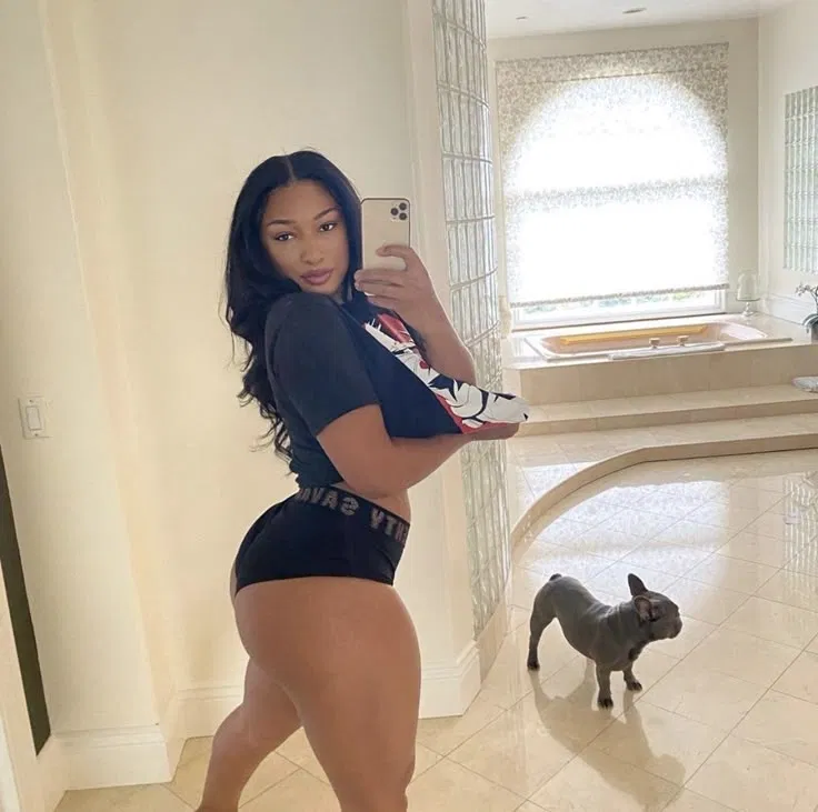 Avatar of Megan Thee Stallion