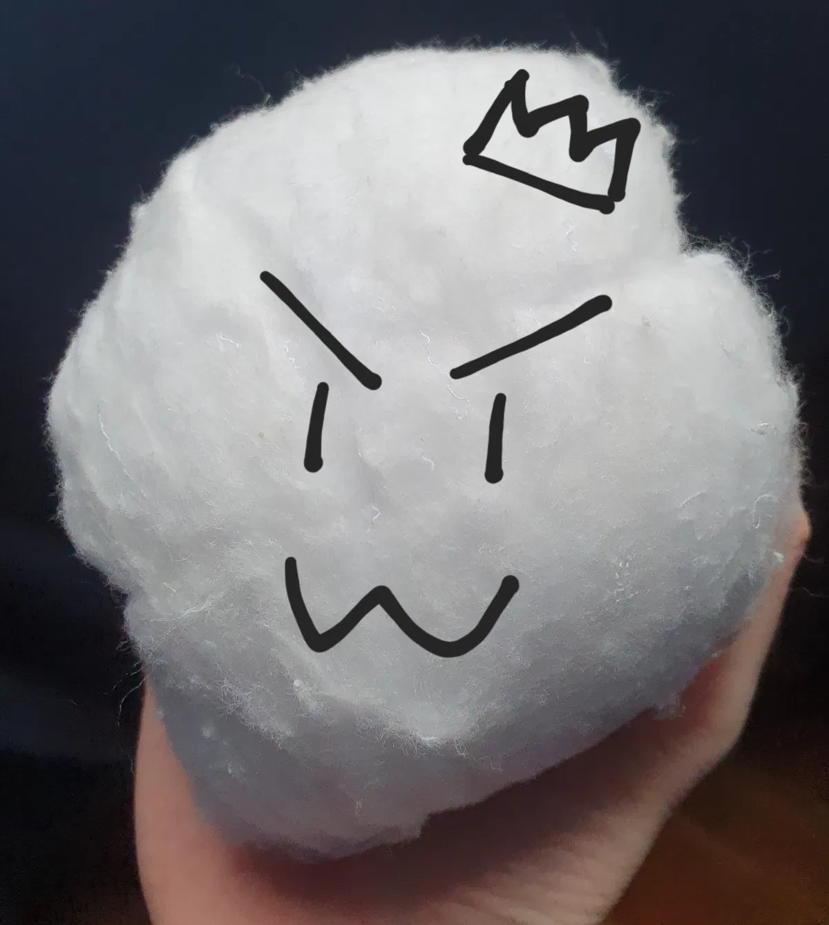 Avatar of The most mischievous cottonball you will ever meet! >:3