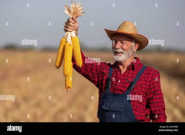 Avatar of Jandel The corn man
