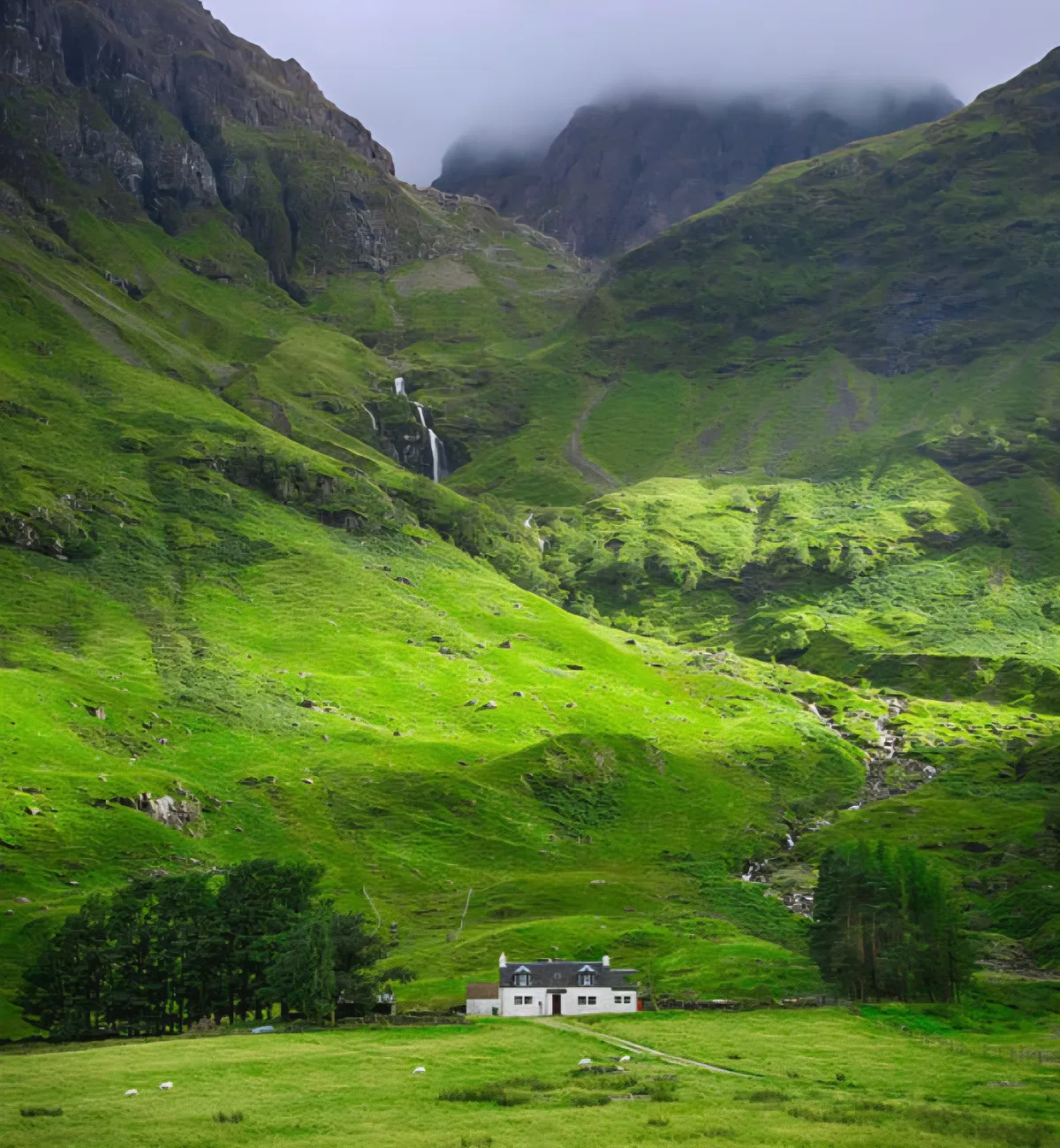 Avatar of Highlander Hospitality!