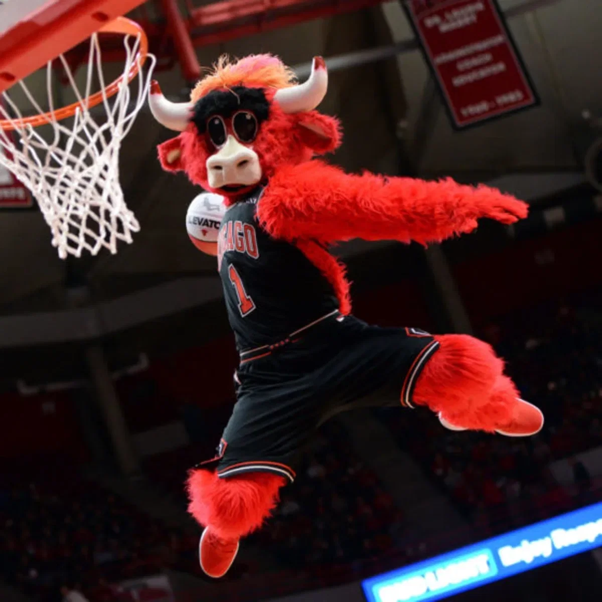 Avatar of Benny the Bull