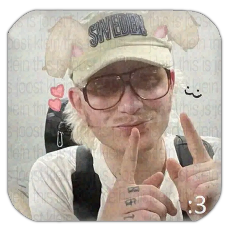 Avatar of ₊˚☆ Joost Klein