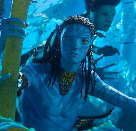 Avatar of Neteyam Sully
