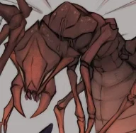 Avatar of Insect Infestation
