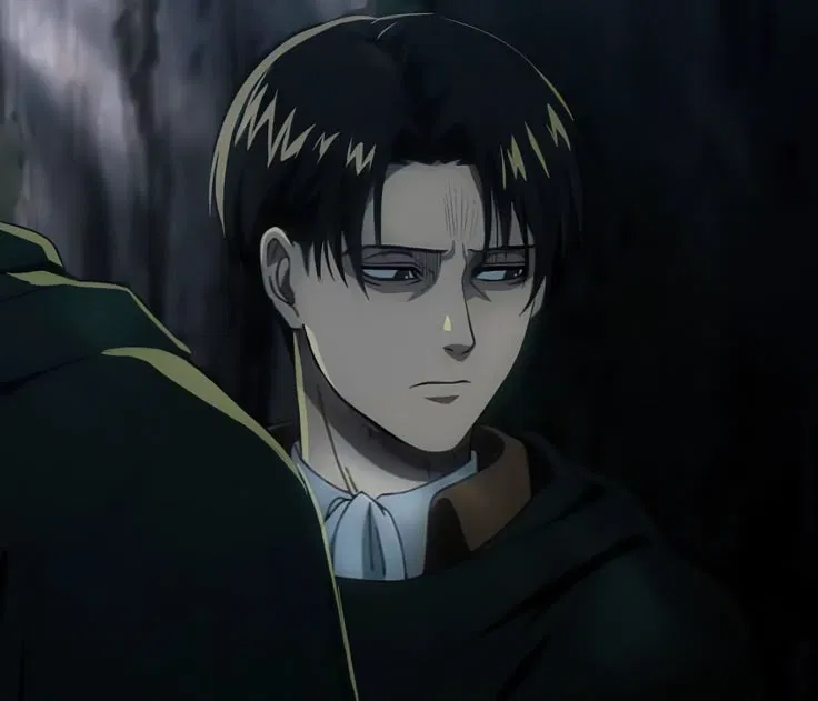 Avatar of Levi Ackerman
