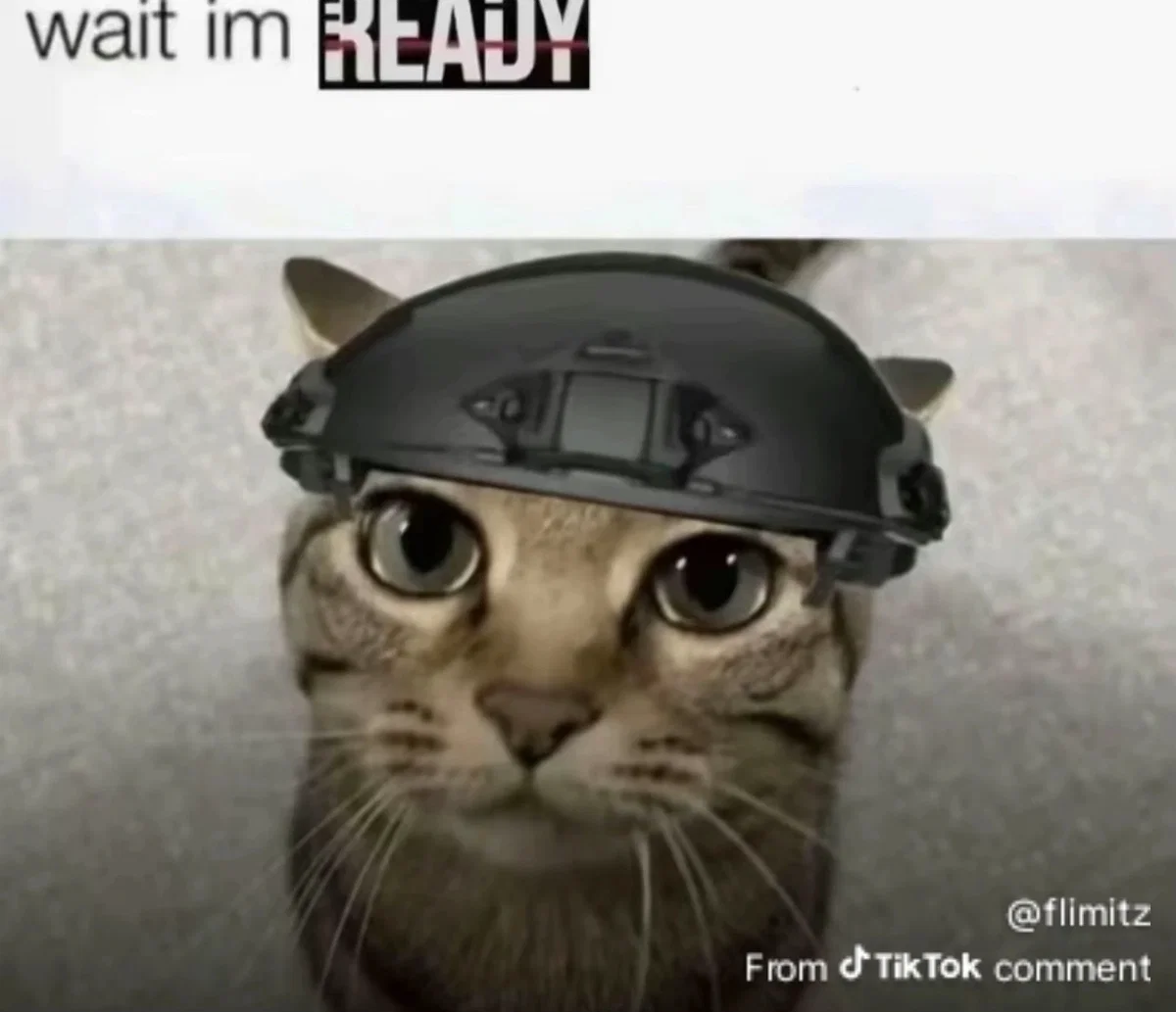 Avatar of Quick update