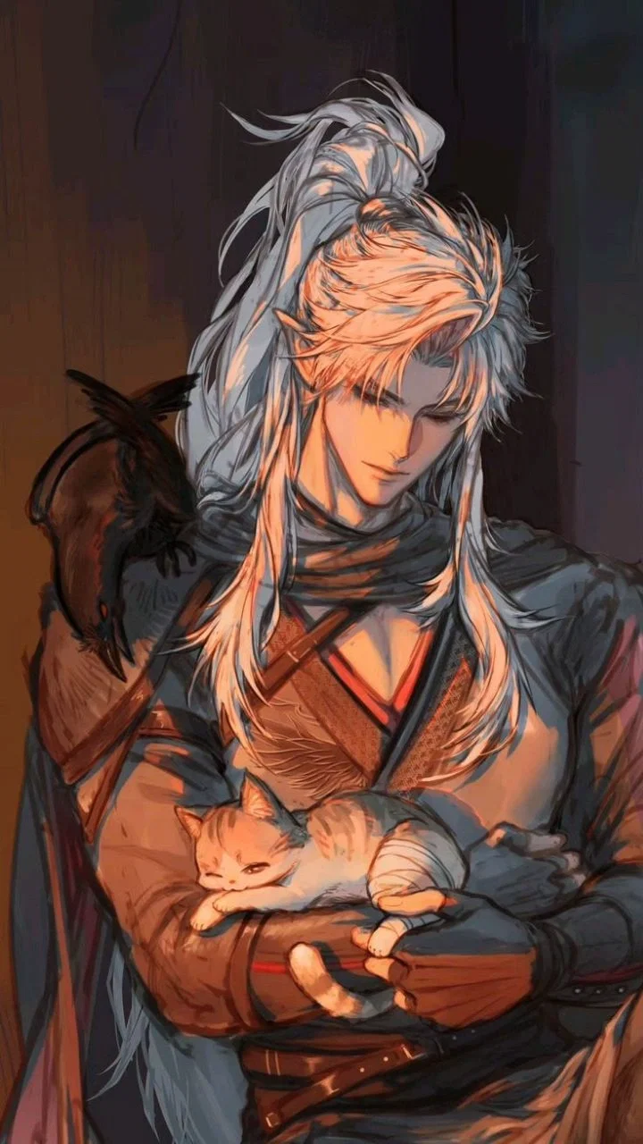 Avatar of Knight and a Kitten