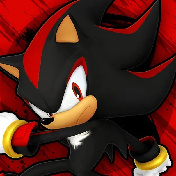 Avatar of BASE | 🏍️💥 SHADOW THE HEDGEHOG 🎸⋆⭒˚｡⋆ .ᐟ.ᐟ